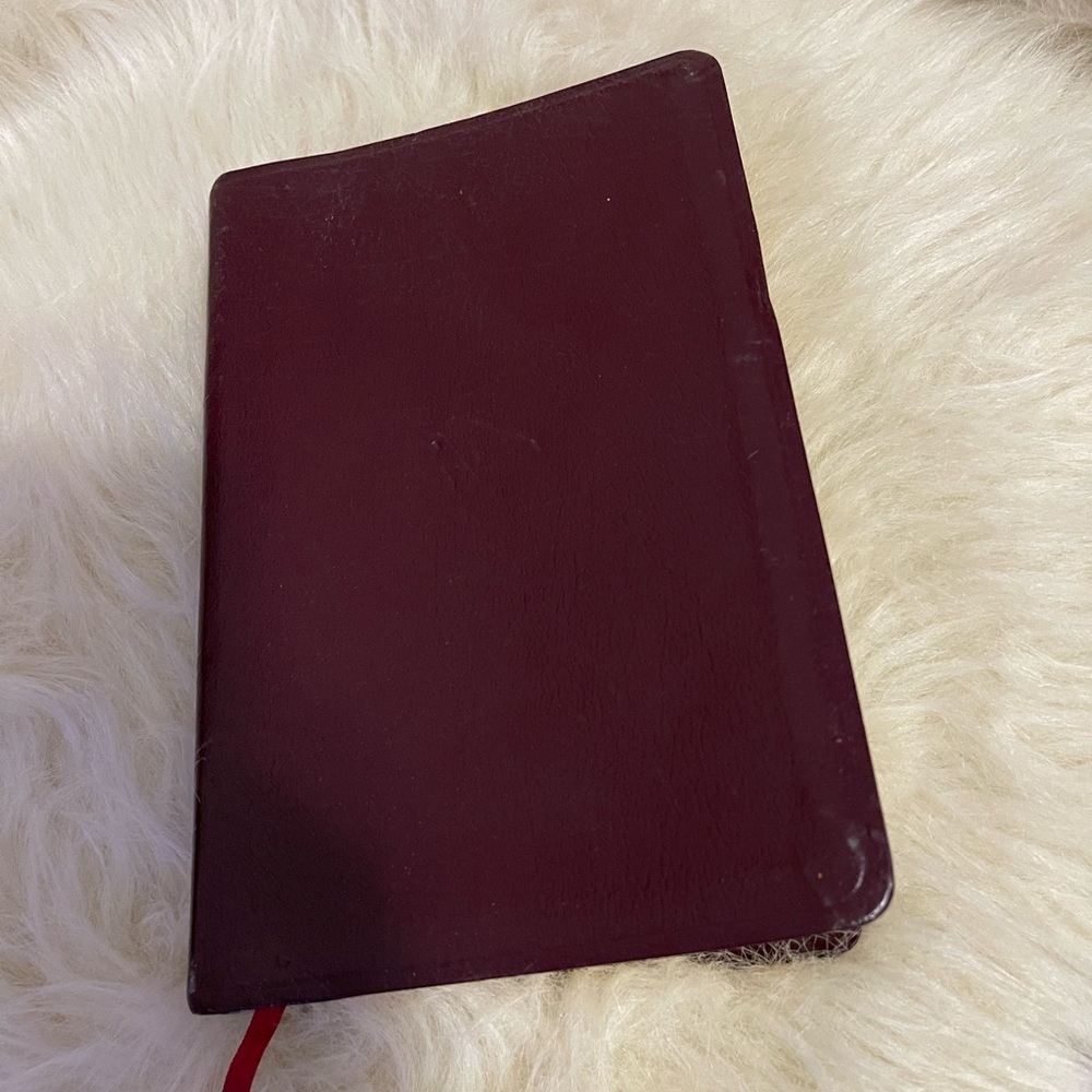 HOLY BIBLE RED Concordance KJV Study